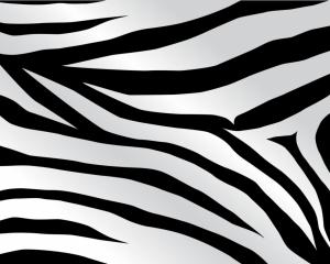 Animals, Zebra, Skin, Black, Wavews, Lines, Abstract wallpaper thumb