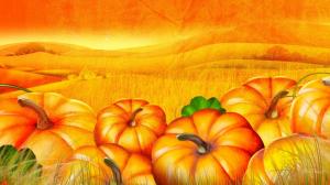 The Pumpkin Patch wallpaper thumb