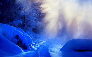 Winter, thick snow, trees, sunlight wallpaper thumb