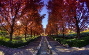 Japan, park, trees, red leaves, stairs wallpaper thumb