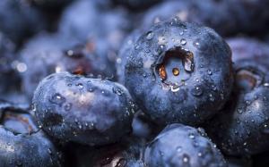 Blueberries close-up, water drops wallpaper thumb