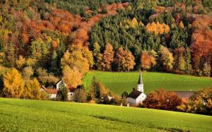 Slope, forest, trees, field, houses, church, autumn wallpaper thumb