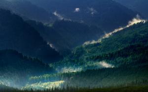 Landscape, Nature, Carpathians, Mountain, Mist, Forest, Spring, Green, Trees wallpaper thumb