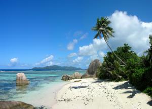 Tropic island with pal trees wallpaper thumb