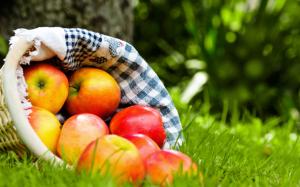 Red apples, fruits, cloth bag, grass wallpaper thumb