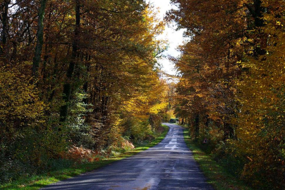 *** Road Through The Autumnal Forest *** wallpaper,trees HD wallpaper,nature HD wallpaper,road HD wallpaper,autumn HD wallpaper,colorful HD wallpaper,nature & landscapes HD wallpaper,2048x1365 wallpaper