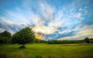 Meadow, trees, dawn, clouds wallpaper thumb