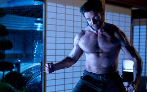 The Wolverine 2, Hugh Jackman wallpaper thumb