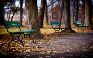 Park, walkway, bench, trees, autumn wallpaper thumb