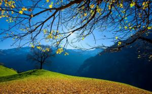 Autumn, trees, foliage, mountains, blue sky, sun wallpaper thumb