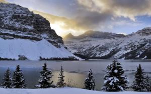 Winter, mountains, snow, Bow Lake, trees, Alberta, Canada wallpaper thumb