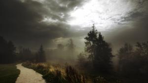 Fog On A Footpath In Forest wallpaper thumb