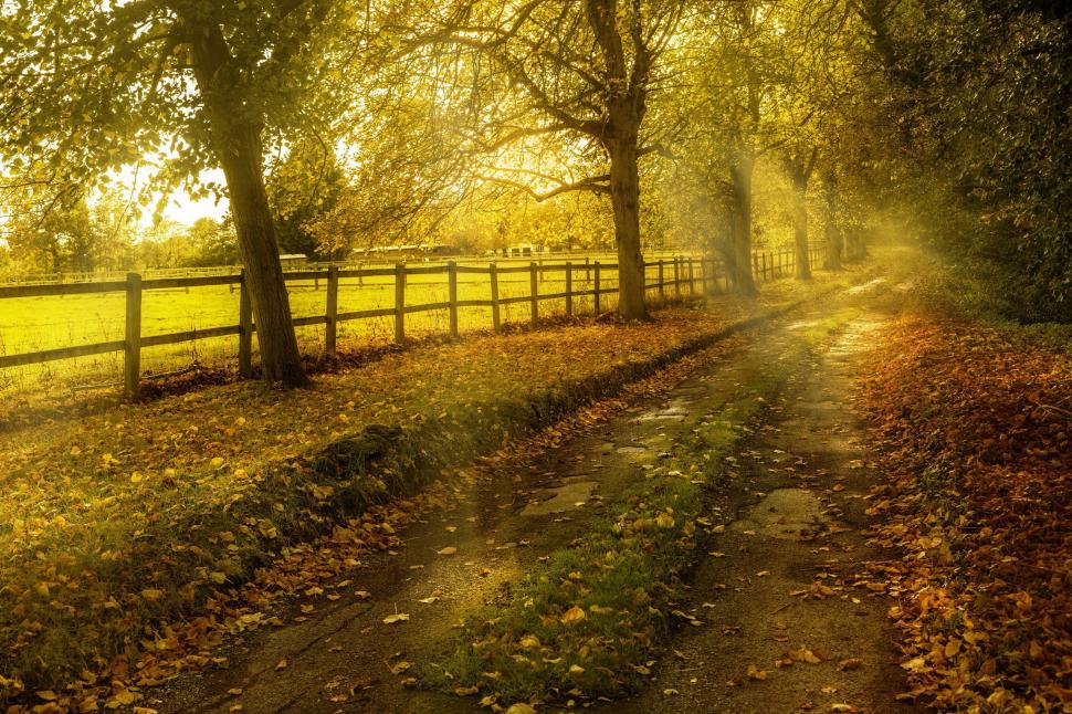 Autumn, road, nature wallpaper,road HD wallpaper,autumn HD wallpaper,nature HD wallpaper,2560x1705 wallpaper