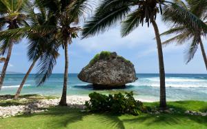 Tropical scenery, island, sea, stone, palm trees wallpaper thumb