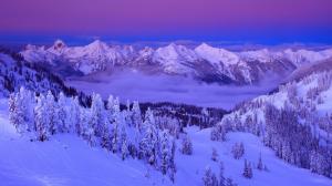 purple, clouds, snow, winter, mountains, trees, sky, nature, landscape wallpaper thumb