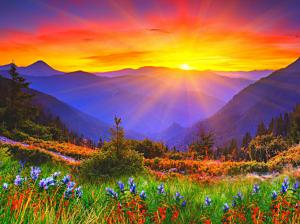 Sunrise, dawn, mountains, grass, flowers wallpaper thumb