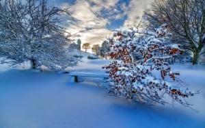 Winter thick snow, trees, sunset, sky, clouds wallpaper thumb