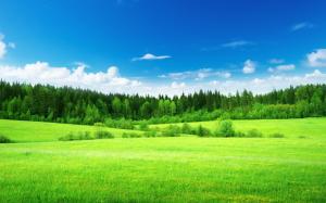 Nature, Landscape, Trees, Grass, Green, Clouds, Blue Sky wallpaper thumb
