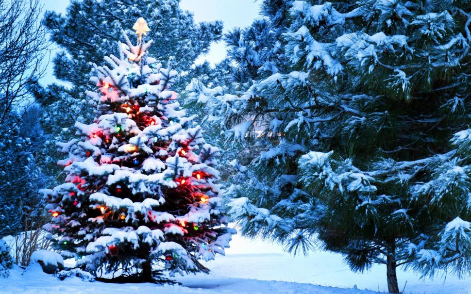 Christmas, snow, New Year, tree, lights wallpaper,Christmas HD wallpaper,Snow HD wallpaper,New HD wallpaper,Year HD wallpaper,Tree HD wallpaper,Lights HD wallpaper,2560x1600 wallpaper