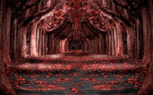 Nature, Landscapered, Forest, Leaves, Trees, Path, Photo Manipulation wallpaper thumb