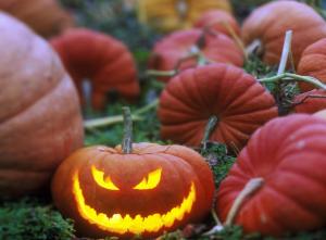 halloween, holiday, pumpkin, patch, face wallpaper thumb