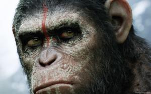 Dawn of the Planet of the Apes 2014 Movie wallpaper thumb