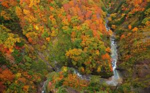 Above to view the forest, gorge, river, trees, autumn wallpaper thumb