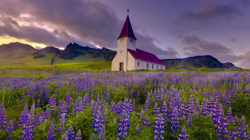 Wondeful Church In A Field Of Lupines wallpaper,church HD wallpaper,mountains HD wallpaper,flower HD wallpaper,fields HD wallpaper,clouds HD wallpaper,nature & landscapes HD wallpaper,1920x1080 wallpaper