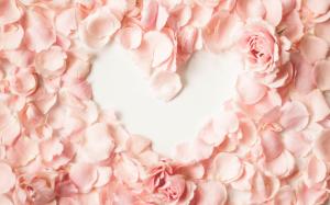 Pink petals, rose, love heart wallpaper thumb