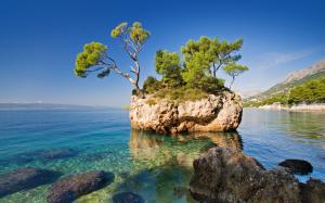 Nature, sea, rock, trees, lonely island wallpaper thumb
