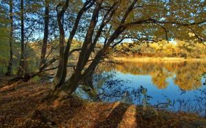River, trees, autumn, nature landscape wallpaper thumb
