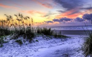 Hilton Head Island, South Carolina, USA, beach, grass, sea, sunset wallpaper thumb