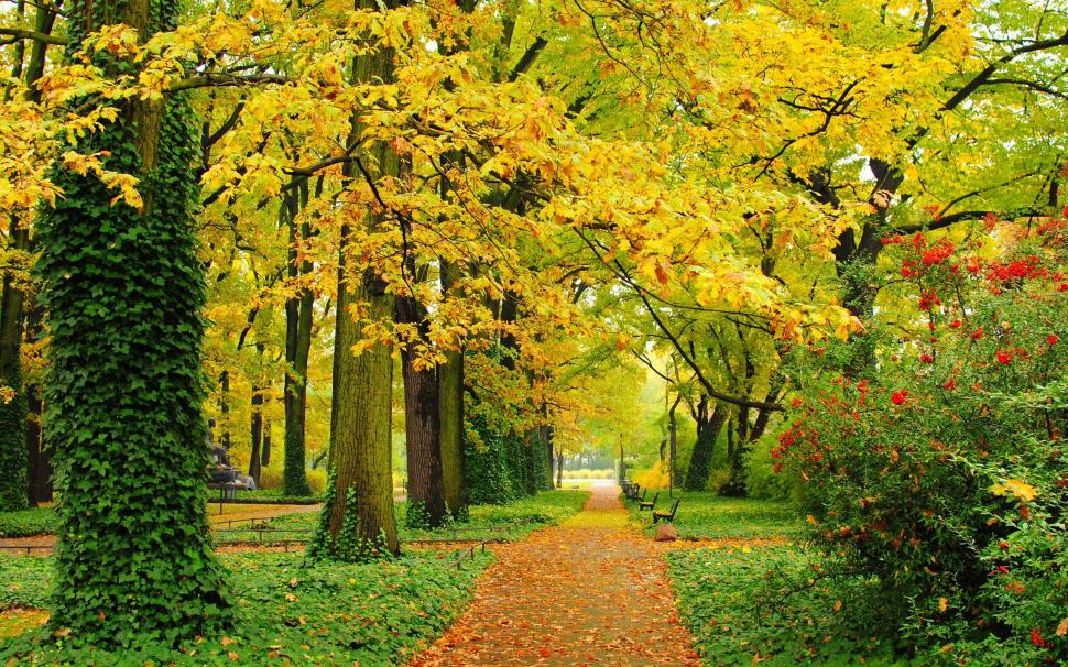 Autumn, park, trees, yellow leaves, paths, benches wallpaper,Autumn HD wallpaper,Park HD wallpaper,Trees HD wallpaper,Yellow HD wallpaper,Leaves HD wallpaper,Paths HD wallpaper,Benches HD wallpaper,2560x1600 wallpaper