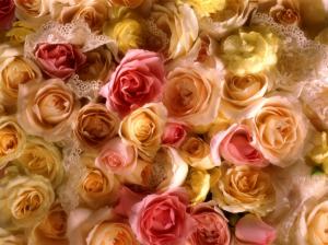 Rose Bridal Bouquet HD wallpaper thumb