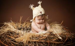 Cute baby sitting on the nest wallpaper thumb