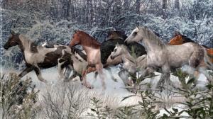 Horses In Winter wallpaper thumb