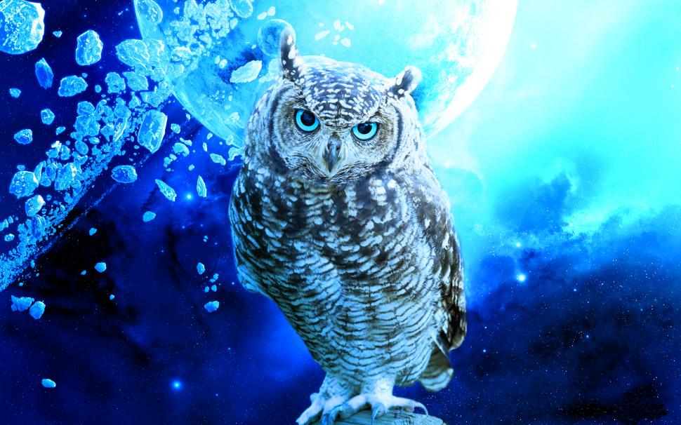 Owl Bird Stars Debris Blue Planet HD wallpaper,animals HD wallpaper,blue HD wallpaper,stars HD wallpaper,planet HD wallpaper,bird HD wallpaper,owl HD wallpaper,debris HD wallpaper,1920x1200 wallpaper