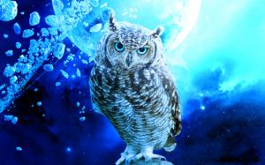 Owl Bird Stars Debris Blue Planet HD wallpaper thumb