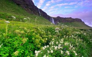 Iceland morning scenery, mountains, grass and flowers, waterfalls, lilac sky, clouds wallpaper thumb