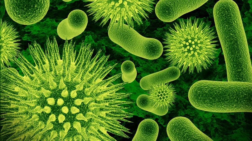 Viruses and bacteria close-up, green wallpaper,Viruses HD wallpaper,Bacteria HD wallpaper,Green HD wallpaper,3840x2160 wallpaper