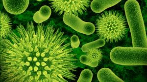 Viruses and bacteria close-up, green wallpaper thumb