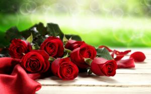 Red Roses Valentines Day background wallpaper thumb