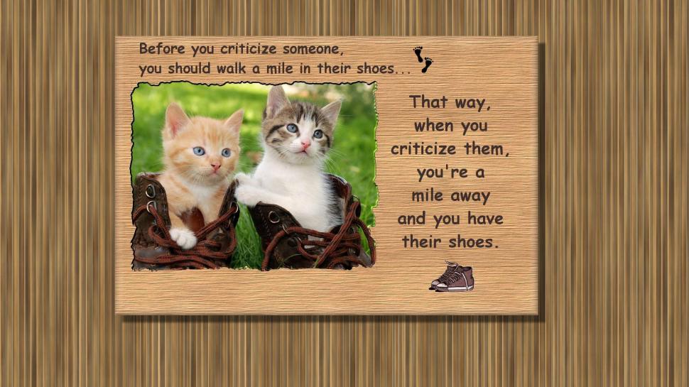Kittens Shoes wallpaper,cats HD wallpaper,animals HD wallpaper,shoes HD wallpaper,kittens HD wallpaper,1920x1080 wallpaper