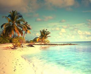 Tropical paradise ocean wallpaper thumb