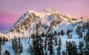 North America, Washington, Mount Shuksan, snow, winter, trees, dusk wallpaper thumb