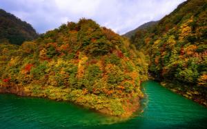 Lake Tazawa, Japan, mountains, forest, autumn wallpaper thumb
