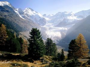 Switzerland, Nature, Landscape, Mountains, Trees, Stone, Cliffs, Mist, High Mountain, Photography wallpaper thumb