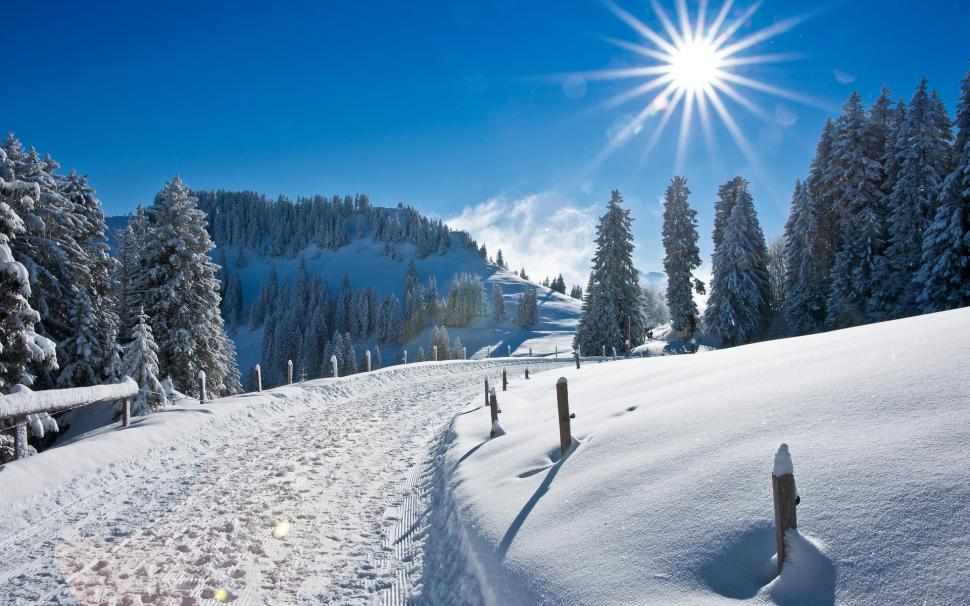 Winter Snow Forest  Download Pictures wallpaper,christmas HD wallpaper,forest HD wallpaper,ice HD wallpaper,nature snow HD wallpaper,1920x1200 wallpaper