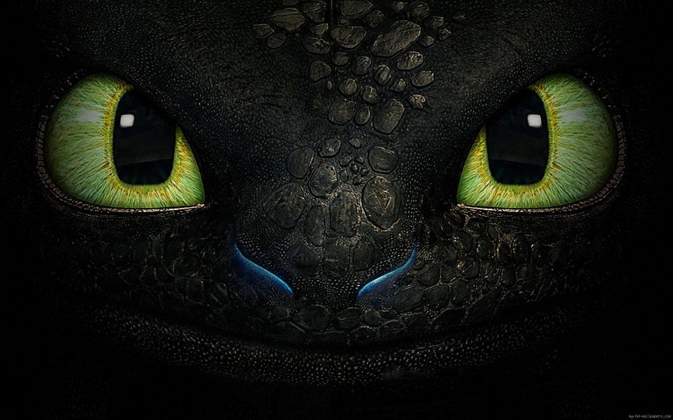 How to train your dragon Toothless wallpaper,dragon HD wallpaper,movie HD wallpaper,cartoon HD wallpaper,toothless HD wallpaper,1920x1200 wallpaper