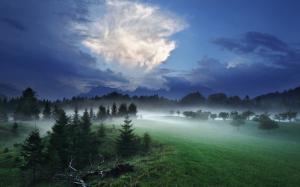 Nature, Clouds, Trees, Grass, Mist, Forest wallpaper thumb